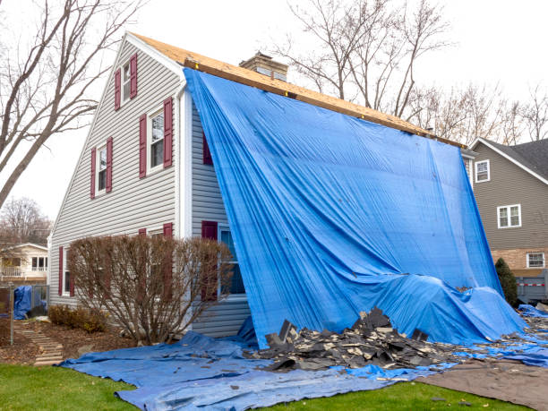 Best Vinyl Siding Installation  in Gberts, IL